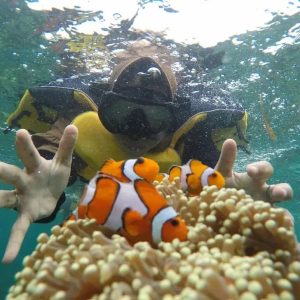 Pesona Pulau Tegal Mas, Destinasi Wisata Snorkeling Favorit di Pesawaran Lampung