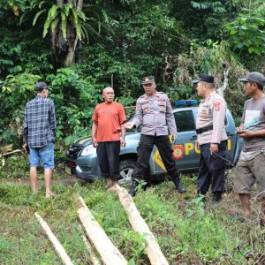Kawanan Gajah Rusak 6 Hektar Perkebunan di Tanggamus Lampung