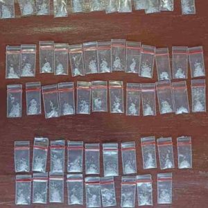 Bandar Narkotika dan Kades Rejosari Ditangkap Karena Sabu