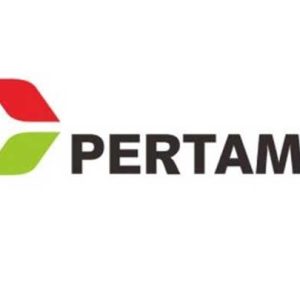 Keponakan Presiden Jokowi Ditunjuk Jadi Manager Pertamina