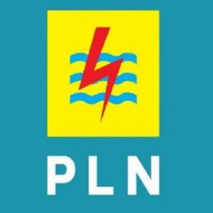 Hampir 2 Hari Padam, 100 Persen Listrik di Lampung Pulih
