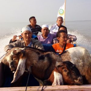 Idul Adha, Dewan Dakwah Lampung Sebar Ratusan Hewan Qurban