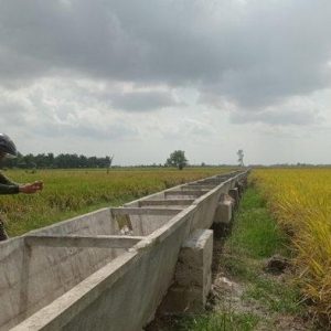 Kejati Lampung Periksa Proyek Irigasi Rp97, 8 M di Mesuji