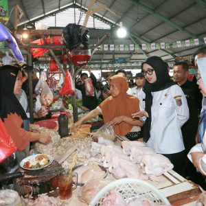 Jelang Bulan Ramadan, Wagub Jihan Pantau Harga Kebutuhan Pokok di Pasar Kangkung