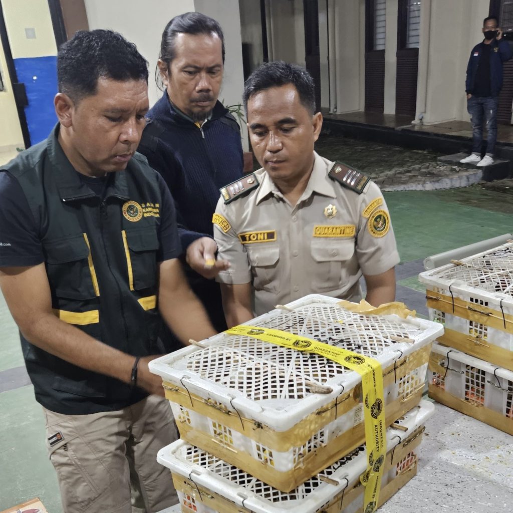 Truk Berisi 326 Ekor Burung Ilegal Diamankan di Bakauheni