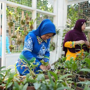 Unila Kembangkan Pusat Riset Genetik Anggrek untuk Konservasi dan Inovasi Budidaya
