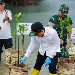 Ketua DPRD dan Gubernur Lampung Tanam Mangrove, Dorong Komitmen Ekosistem Pesisir