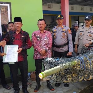 Buaya 4,5 Meter Dari Sungai Semaka Diserahkan ke BKSDA Lampung
