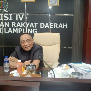 Jalan Ryacudu-Kota Baru Minim Penerangan, DPRD Pastikan Masuk APBD Perubahan