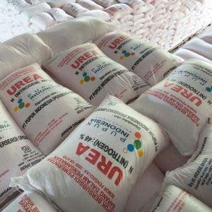 DPRD Lampung Dukung Langkah Tegas Kementan Cabut Izin 2.039 Kios Pupuk