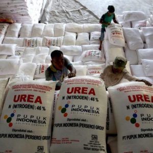 Banyak Pelanggaran di Lampung, DPRD Soroti Distribusi Pupuk Bersubsidi