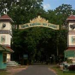 Hadiri Gerakan Bersatu dengan Alam, DPRD Lampung Dorong Sinergi Lintas Sektor Jaga Way Kambas