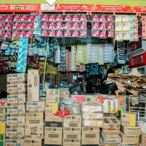 Imelda Minta Pemerintah Jaga Kantong Rakyat di Tengah Lonjakan Harga