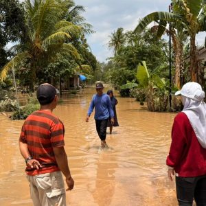 Lesty Putri Utami Tinjau Banjir di Kertosari, Ratusan Hektare Sawah Terancam Gagal Panen