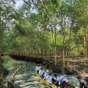 Komisi II DPRD Lampung Ingatkan Investasi Wisata Jangan Korbankan Mangrove