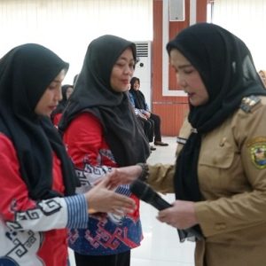 Eva Dwiana Salurkan Insentif Ribuan Kader Kesehatan di Bandar Lampung