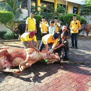 Golkar Lampung Sembelih 65 Hewan Kurban