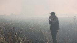Gubernur Lampung Tinjau Titik Api Baru di Way Kambas