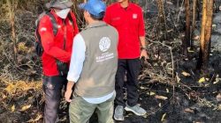 44 Hotspot Muncul Lagi di Kalsel, BNPB Tambah Helikopter Water Bombing