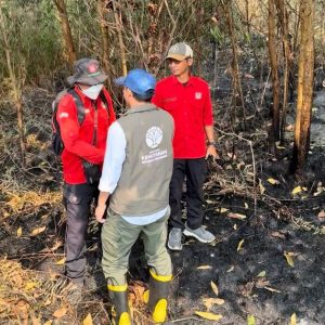 44 Hotspot Muncul Lagi di Kalsel, BNPB Tambah Helikopter Water Bombing