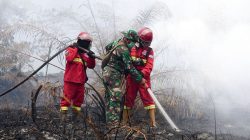 946 Hotspot Karhutla Terdeteksi, Kalimantan Barat dan Tengah Paling Banyak