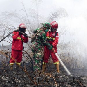 946 Hotspot Karhutla Terdeteksi, Kalimantan Barat dan Tengah Paling Banyak