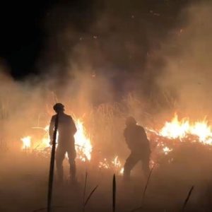 Kuala Penet Padam, Karhutla Baru Muncul di Braja Luhur TNWK