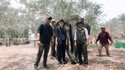 Menhut Tinjau Way Kambas, Proyek Mitigasi Gajah Ditarget Rampung Oktober 2026