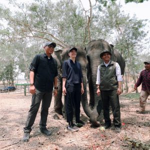 Menhut Tinjau Way Kambas, Proyek Mitigasi Gajah Ditarget Rampung Oktober 2026