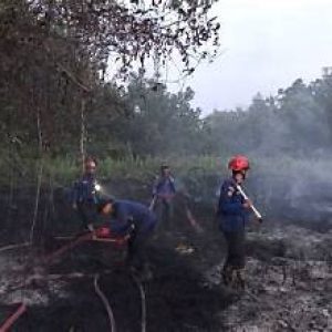 Hujan Mulai Turun, Damkarmat Bandar Lampung Ingatkan Risiko Kebakaran Tetap Ada